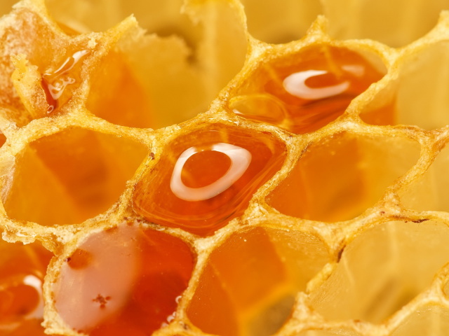 Food_Cakes_and_Sweet_Honey_comb_033854_29.jpg