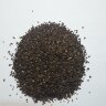 Фацелия пижмолистная, 1кг